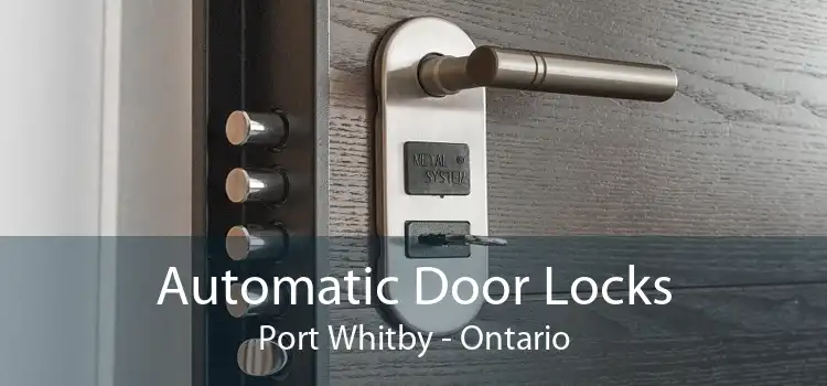 Automatic Door Locks Port Whitby - Ontario