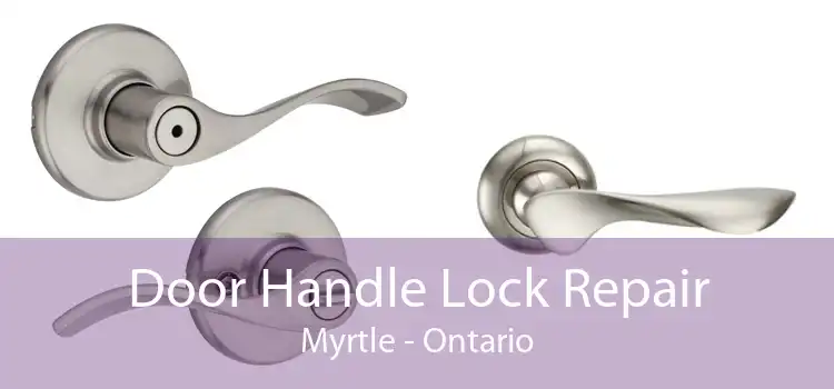 Door Handle Lock Repair Myrtle - Ontario
