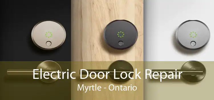 Electric Door Lock Repair Myrtle - Ontario