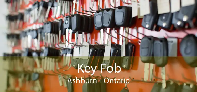 Key Fob Ashburn - Ontario