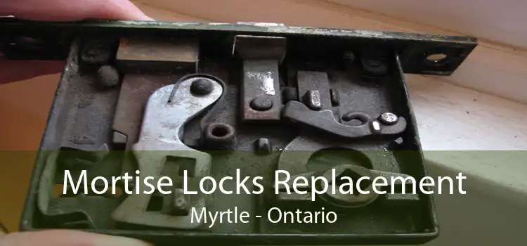 Mortise Locks Replacement Myrtle - Ontario