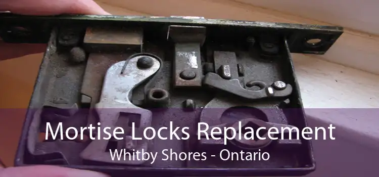 Mortise Locks Replacement Whitby Shores - Ontario
