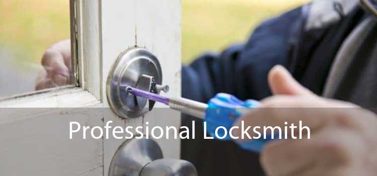 Professional Locksmith 