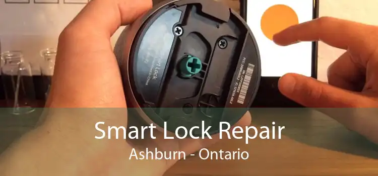 Smart Lock Repair Ashburn - Ontario